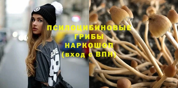 прущие крисы Алексеевка